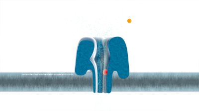 MinION Analysis and Reference Consortium: Phase 1 data release and analysis