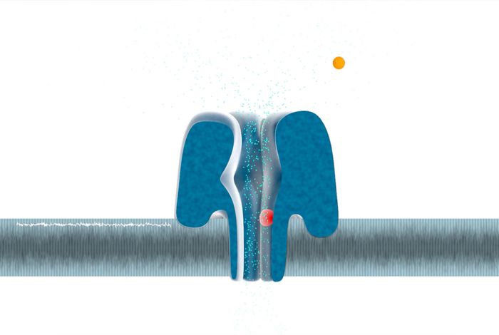 MinION Analysis and Reference Consortium: Phase 1 data release and analysis