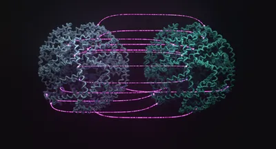 Approach for phased sequence-based genotyping of the critical pharmacogene dihydropyrimidine dehydrogenase (*DPYD*)