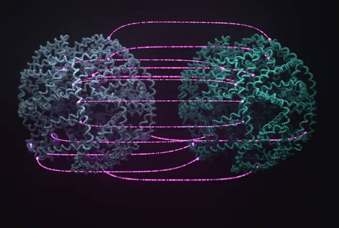 Parent-of-origin-aware genomic analysis infers segregation of pathogenic variants