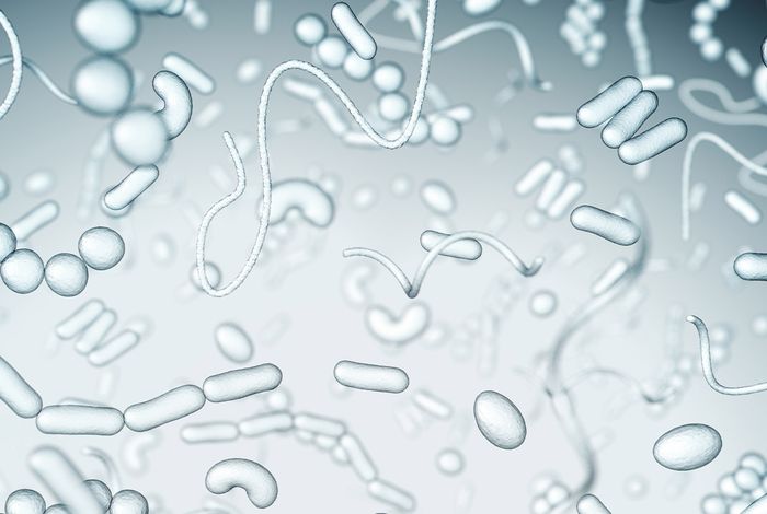Rapid Nanopore Sequencing of Plasmids and Resistance Gene Detection in Clinical Isolates