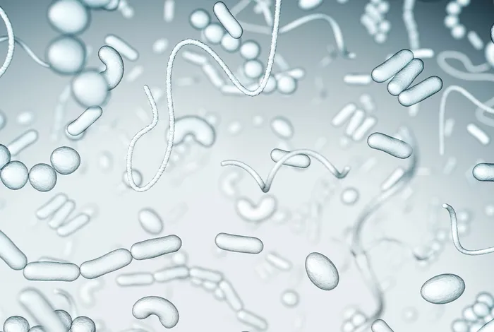 Rapid identification, capsular typing and molecular characterization of *Streptococcus pneumoniae* by using whole genome nanopore sequencing