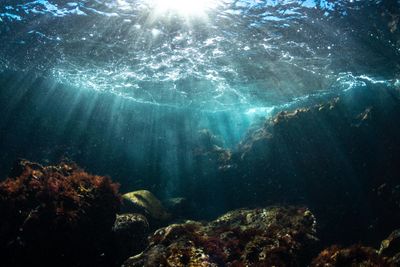 photograph of underwater ocean view