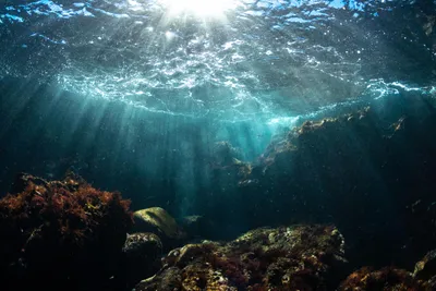 photograph of underwater ocean view