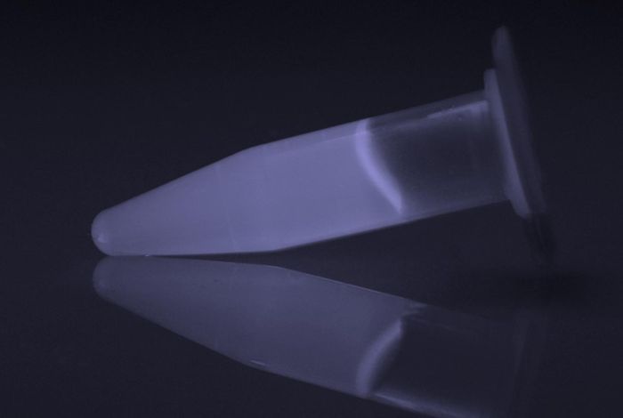 How to extract high-quality DNA and RNA