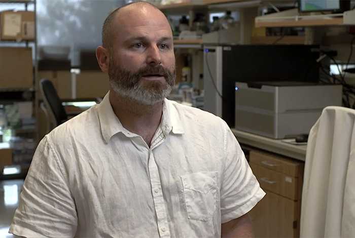 PromethION in action at JCVI