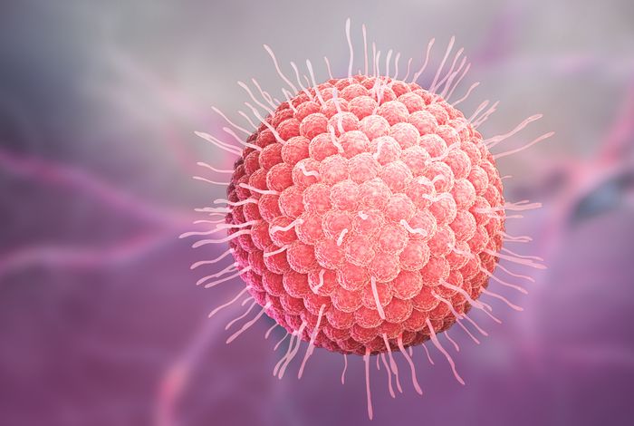 Varicella-zoster virus VLT-ORF63 fusion transcript induces broad viral gene expression during reactivation from neuronal latency
