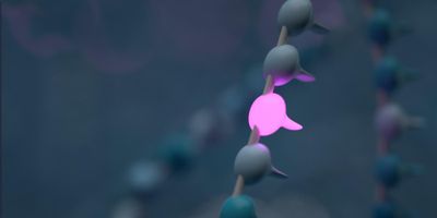 Genewise detection of variants in *MEFV* gene using nanopore sequencing