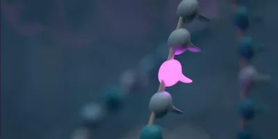 Genewise detection of variants in *MEFV* gene using nanopore sequencing