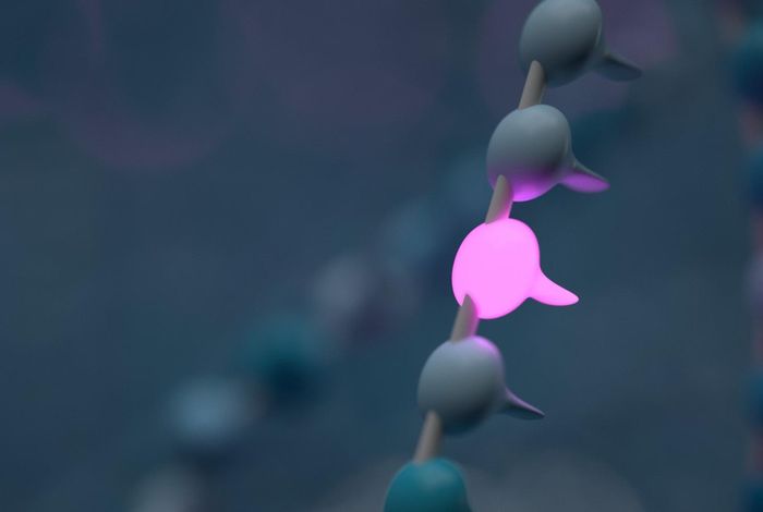 Genewise detection of variants in MEFV gene using nanopore sequencing