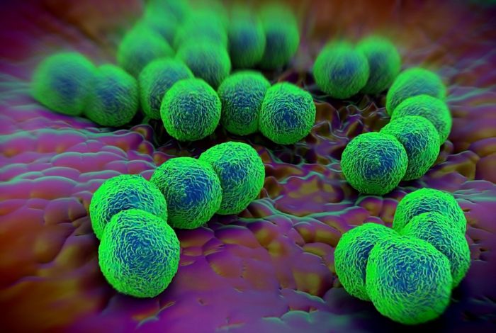 The sudden emergence of a *Neisseria gonorrhoeae* strain with reduced susceptibility to extended-spectrum cephalosporins, Norway