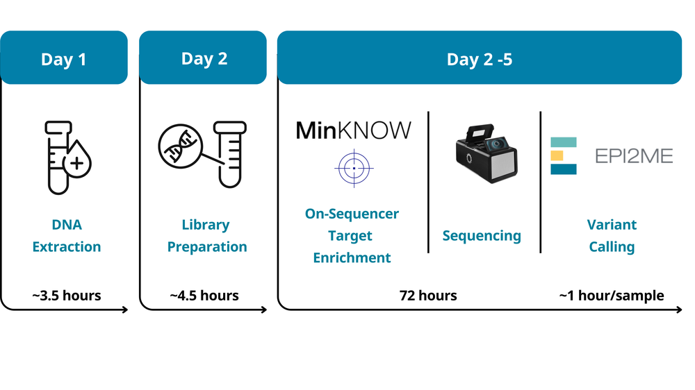 HCP workflow figure