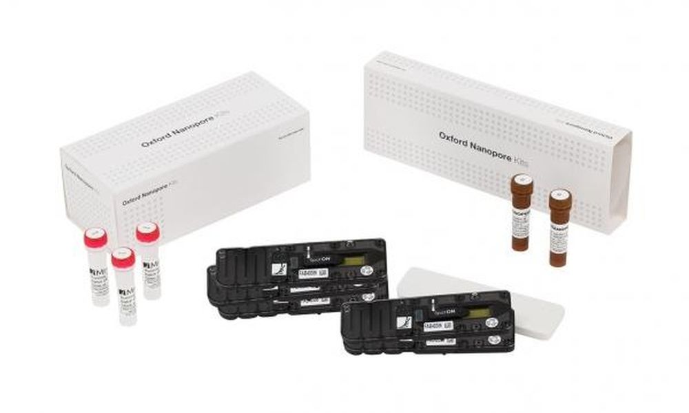 MinION flow cells and kits