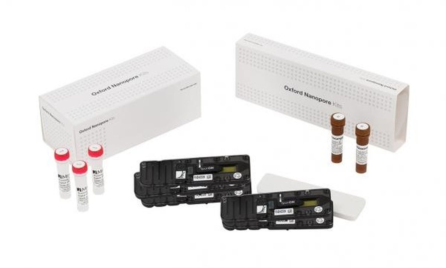 MinION flow cells and kits