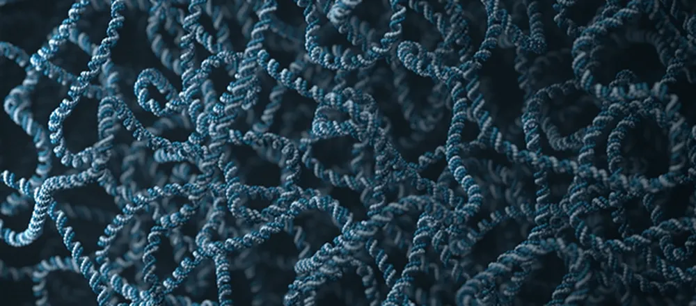 3D render of a tight tangle of DNA strands