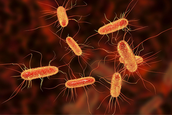 Improving local diagnostic capacity for microbiological identification and antimicrobial resistance gene detection in Northern Nigeria using nanopore