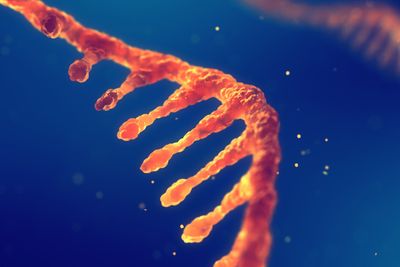 Rapid SARS-CoV-2 whole-genome sequencing and analysis for informed public health decision-making in the Netherlands