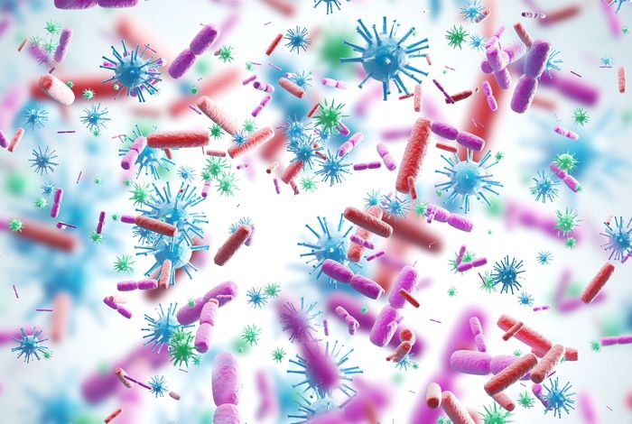 London Calling 2023: Detection and differentiation of respiratory viral pathogens using near real-time sequencing