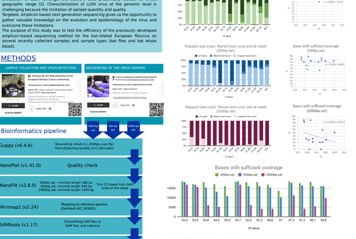 Evaluation of amplicon-based sequencing method for the European filovirus (*Lloviu cuevavirus*)