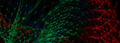 Intuitive discovery and prioritisation of variants in rare diseases with EPI2ME and partners