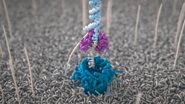 nanopore sequencing animation