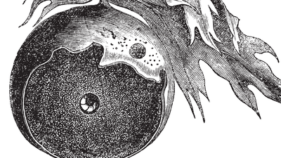 Characterization, correction and de novo assembly of an Oxford Nanopore genomic dataset from Agrobacterium tumefaciens