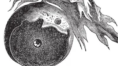 Characterization, correction and de novo assembly of an Oxford Nanopore genomic dataset from Agrobacterium tumefaciens