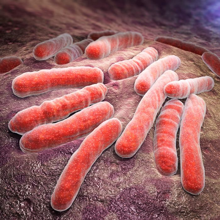 London Calling 2023: Tuberculosis drug resistance profiling from native sputum using nanopore targeted sequencing: a field application study
