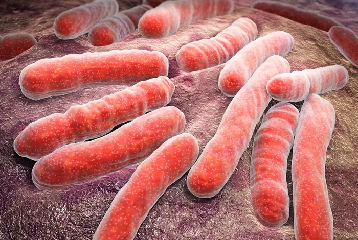 London Calling 2023: Tuberculosis drug resistance profiling from native sputum using nanopore targeted sequencing: a field application study