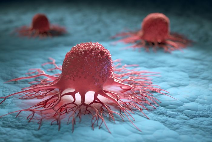 NCM 2023 Singapore: Direct detection of DNA modifications in human cancer genomes