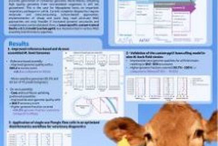 High quality MinION and Flongle long-read nanopore genome assemblies of *Mycoplasma bovis* using taxon specific training of the Bonito basecaller