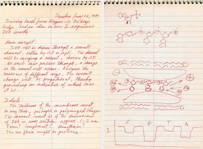 Professor David Deamer notebook, June 1989