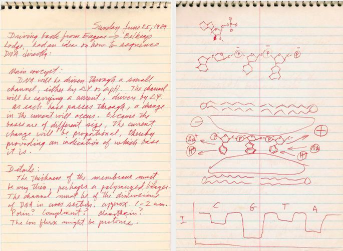 Professor David Deamer notebook, June 1989