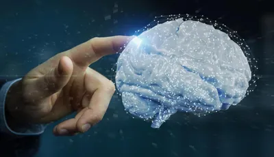 finger touching an illuminated human brain
