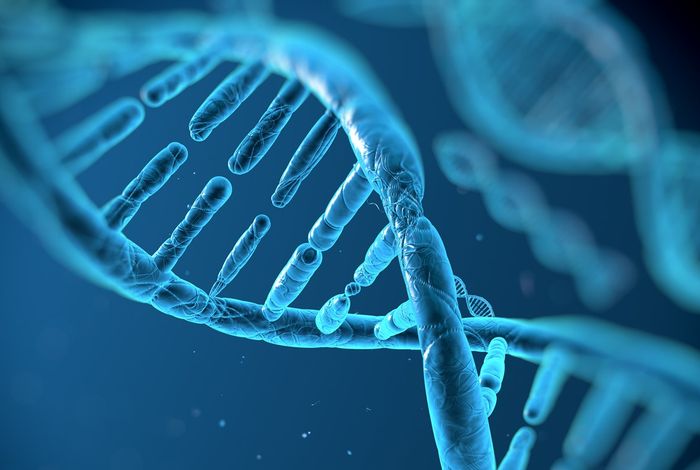 Unique molecular identifier-based high-resolution HLA typing and transcript quantitation using long-read sequencing