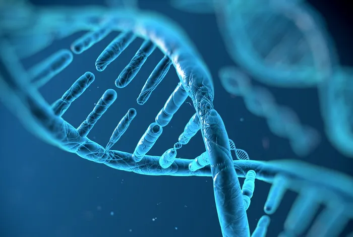 Unique molecular identifier-based high-resolution HLA typing and transcript quantitation using long-read sequencing