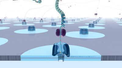 nanopore sequencing single molecule