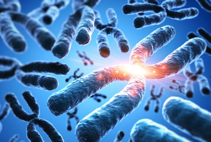 NCM 2021: The genetic and epigenetic landscape of the *Arabidopsis* centromeres