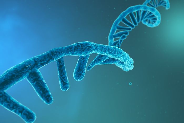 NCM 2023 Singapore: Identification of m6A RNA modifications at single molecule resolution using nanopore direct RNA-Seq data