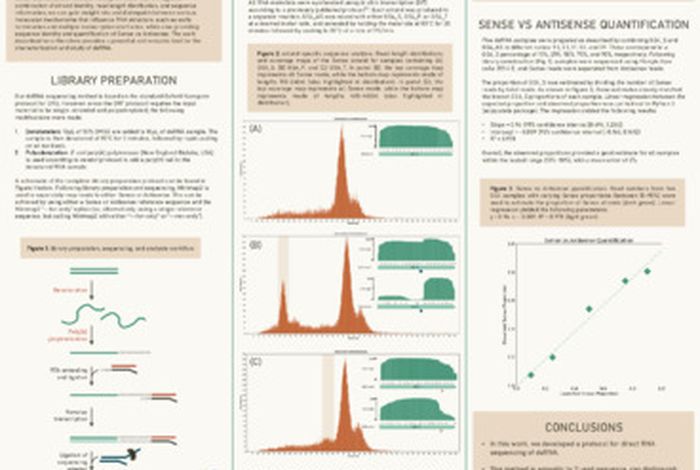 Direct RNA sequencing of dsRNA using Oxford Nanopore Technologies