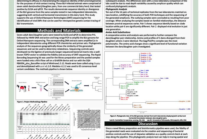 Tracing viral transmission and evolution of bovine leukaemia virus through long-read Oxford Nanopore sequencing of the proviral genome