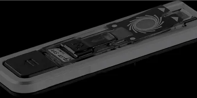 Rapid, low-cost detection of genomic  aberrations with Flongle