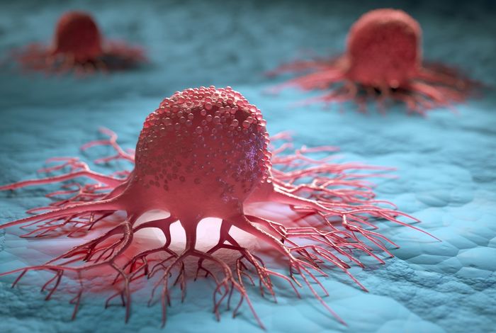 Long-read RNA sequencing redefines the clear cell renal cell carcinoma transcriptome and reveals novel genes and transcripts associated with disease recurrence and immune evasion