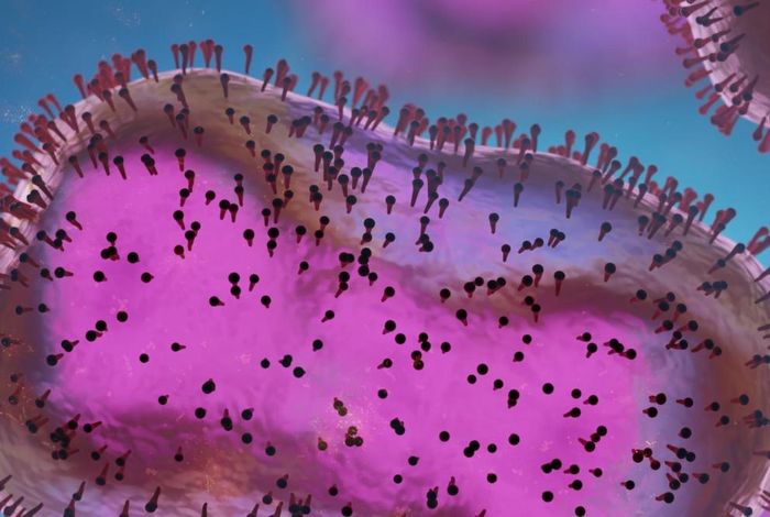 Nanopore adaptive sampling of a metagenomic sample derived from a human monkeypox case