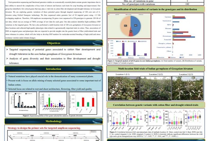 Exploring targeted genetic diversity in the core Indian germplasm of cotton using the Oxford Nanopore platform
