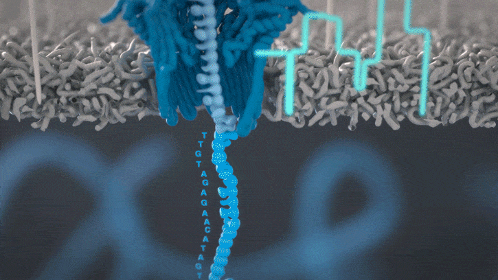 Basecalling animation diagram