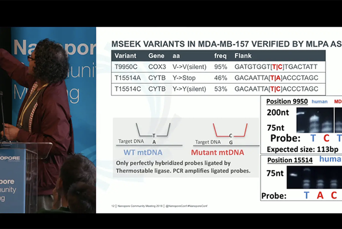 Ravi Sachidanandam: Exploring mitochondrial genetics with nanopore long-read sequencing