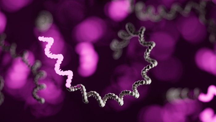 Integrating 10x Genomics single-cell and spatial profiling with Oxford Nanopore long-read sequencing