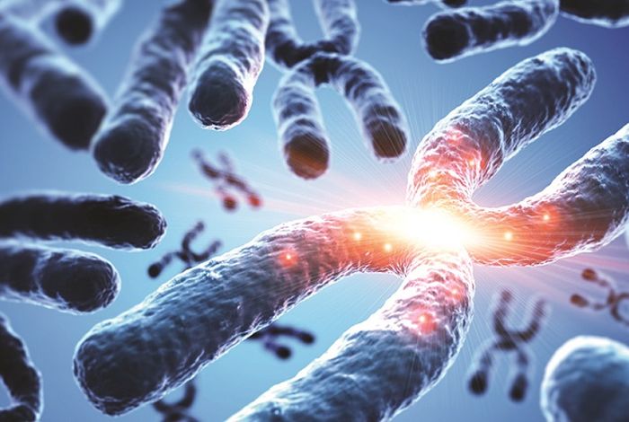 Whole-genome sequencing in disease samples with haplotype resolved and annotated genetic variation