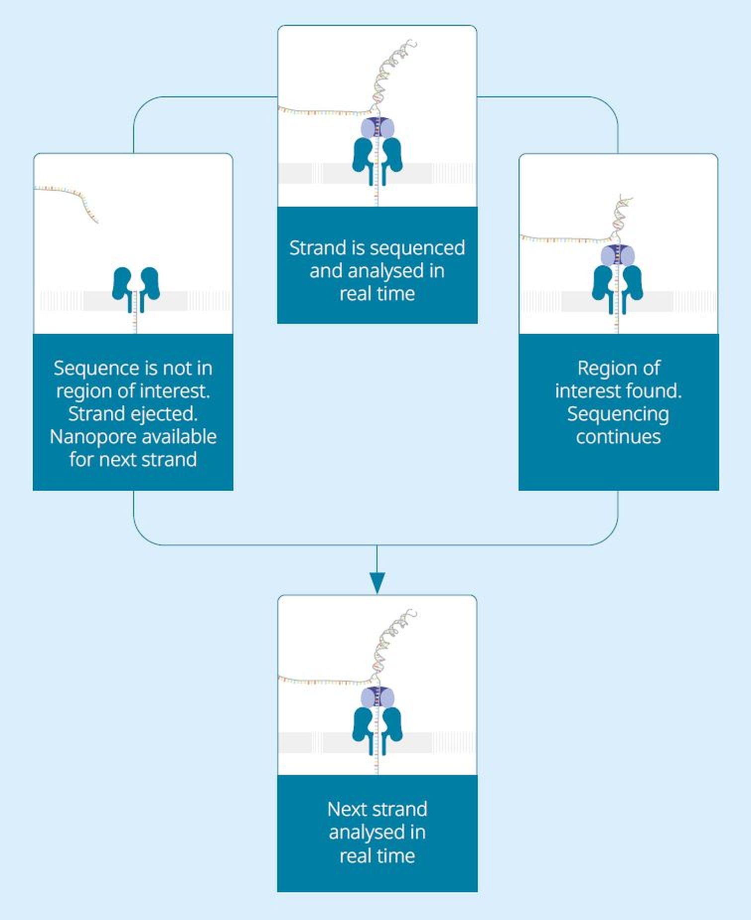 A schematic showing how adaptive sampling is performed.